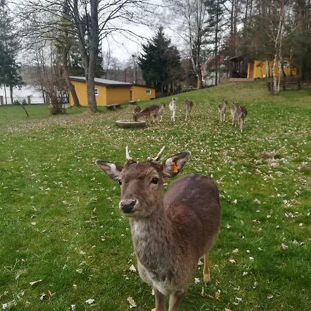 O.w.bingo Bieszkowice