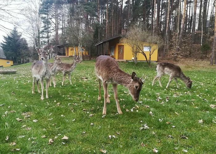 O.w.bingo Πάρκο διακοπών 3*